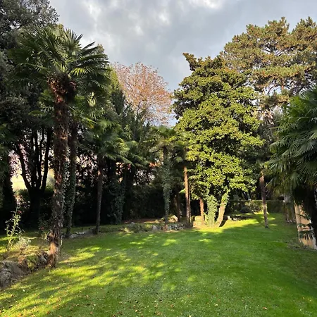 Palm With Free Parking Apartment *